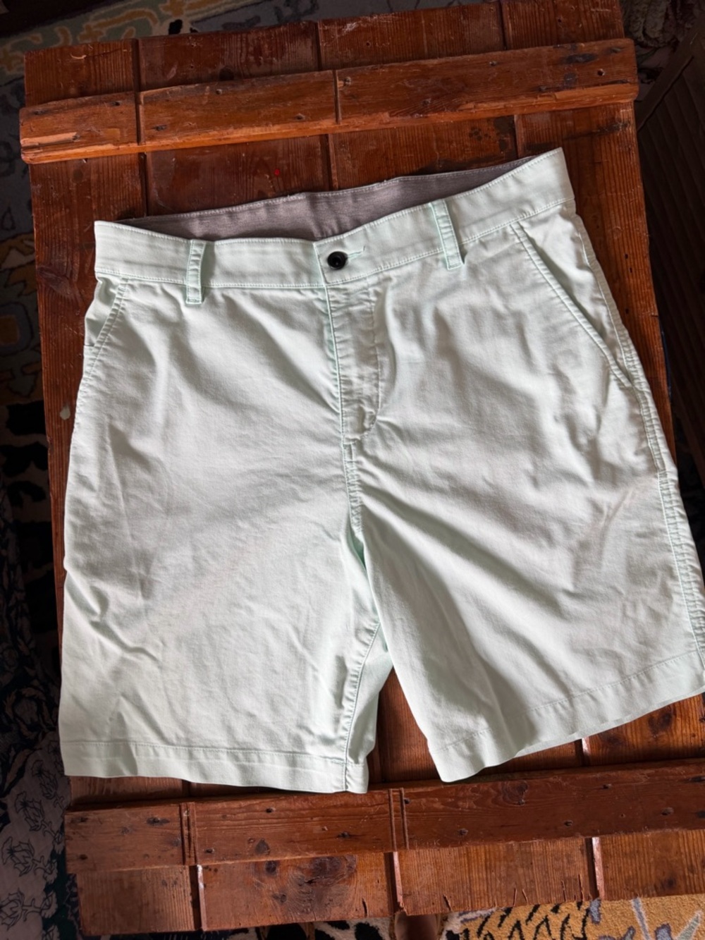 Nike Men's Mint Green Flat Front Shorts